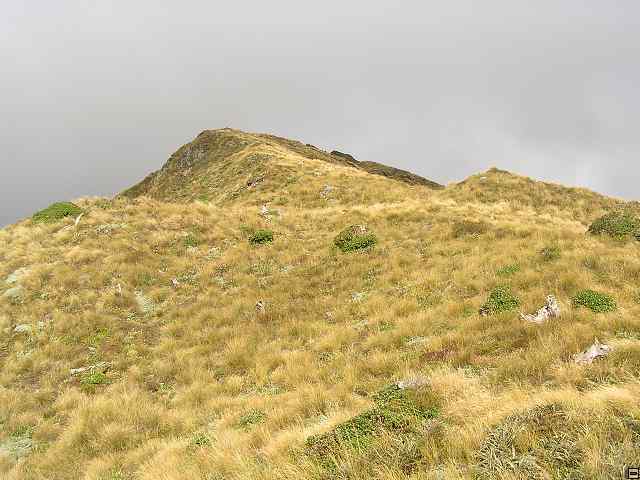 Ruahine - Sunrise Hut 055.jpg